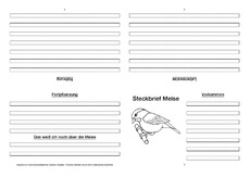 Meise-Faltbuch-vierseitig.pdf